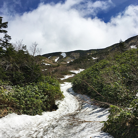 ５月の白山の様子