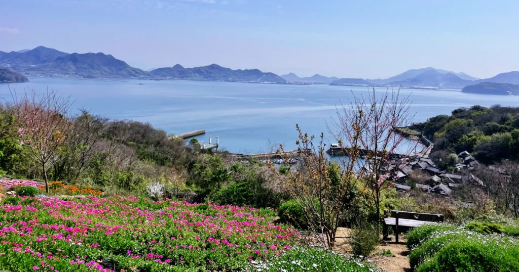 志々島名物、天空の花畑